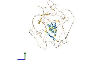 AlphaFold protein structure predicition of Human Recombinant SRRM1 Protein, UniprotID Q8IYB3