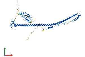 AlphaFold protein structure predicition of Mouse Recombinant Trim54 Protein, UniprotID Q9ERP3