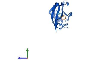 AlphaFold protein structure predicition of Mouse Recombinant Elob Protein, UniprotID P62869 (TCEB2 Protein (AA 1-118) (His tag))