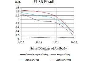 Black line: Control Antigen (100 ng),Purple line: Antigen (10 ng), Blue line: Antigen (50 ng), Red line:Antigen (100 ng) (CTLA4 antibody  (AA 36-161))