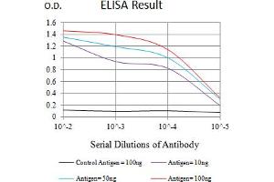 Black line: Control Antigen (100 ng),Purple line: Antigen (10 ng), Blue line: Antigen (50 ng), Red line:Antigen (100 ng) (CTLA4 antibody  (AA 36-161))