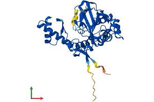 AlphaFold protein structure predicition of Mouse Recombinant Ogfod2 Protein, UniprotID Q9CQ04 (OGFOD2 Protein (AA 1-349) (His tag))