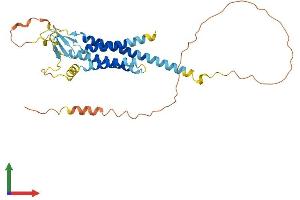 AlphaFold protein structure predicition of Mouse Recombinant Cacng4 Protein, UniprotID Q9JJV4 (CACNG4 Protein (AA 1-327) (His tag))