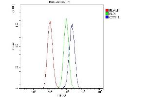 Flow Cytometry analysis of A549 cells using anti-Cystatin C/CST3 antibody (ABIN6719299). (CST3 antibody  (AA 31-146))