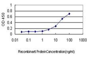 Detection limit for recombinant GST tagged PSCD1 is approximately 1ng/ml as a capture antibody. (Cytohesin 1 antibody  (AA 1-398))