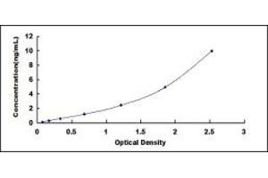 Desmocollin 1 ELISA Kit