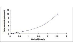 Typical standard curve (Desmocollin 1 ELISA Kit)