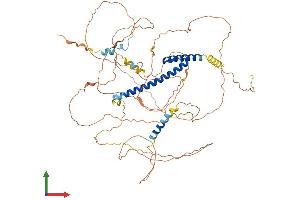 AlphaFold protein structure predicition of Human Recombinant TCF3 Protein, UniprotID P15923 (TCF3 Protein (AA 1-654) (His tag))