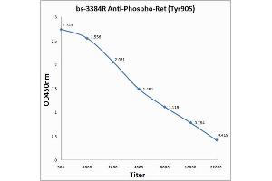 Antigen: 0. (Ret Proto-Oncogene antibody  (pTyr905))