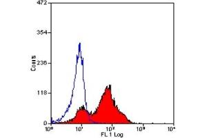 Staining of mouse peripheral blood lymphocytes with RAT ANTI MOUSE CD26 (ABIN120302). (DPP4 antibody)