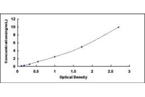 TRPV1 ELISA Kit