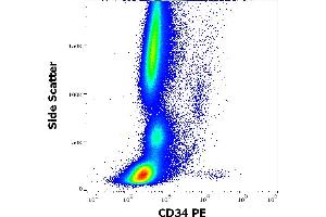 Flow cytometry surface staining pattern of human peripheral whole blood stained using anti-human CD34 (QBEND-10) PE antibody (20 μL reagent / 100 μL of peripheral whole blood).