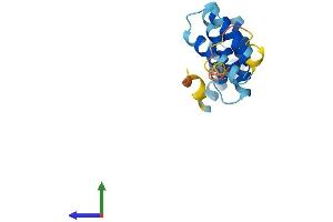 AlphaFold protein structure predicition of Mouse Recombinant Fis1 Protein, UniprotID Q9CQ92
