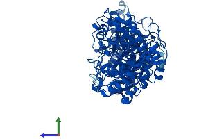 Protein Structure (PS) image for Transketolase-Like 2 (TKTL2) (AA 1-626) protein (His tag) (ABIN7544473)