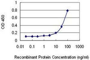 Detection limit for recombinant GST tagged HIPK4 is 3 ng/ml as a capture antibody. (HIPK4 antibody  (AA 519-616))