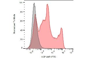 Separation of human sperm cells stained using anti-VCP (Hs-14) FITC antibody (concentration in sample 3 μg/mL, red) from unstained human sperm cells (black) in flow cytometry analysis (intracellular staining). (VCP antibody  (FITC))