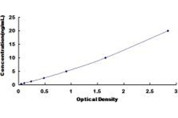 NFRKB ELISA Kit