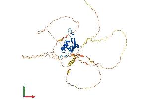 AlphaFold protein structure predicition of Human Recombinant FOXD4L6 Protein, UniprotID Q3SYB3 (FOXD4L6 Protein (AA 1-417) (His tag))