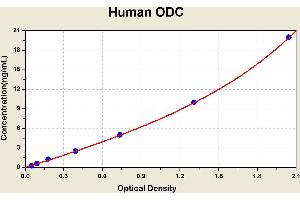 Diagramm of the ELISA kit to detect Human ODCwith the optical density on the x-axis and the concentration on the y-axis.