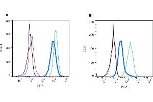 Establishing the effectiveness of the Rabbit IgG Isotype Control, alongside cell surface detection of NK1R by indirect flow cytometry in live intact mouse J774 macrophage cell line. (Rabbit IgG Isotype Control)