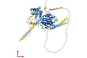 AlphaFold protein structure predicition of Human Recombinant TMCO4 Protein, UniprotID Q5TGY1 (TMCO4 Protein (AA 1-634) (His tag))