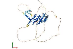 AlphaFold protein structure predicition of Human Recombinant TERF2 Protein, UniprotID Q15554 (TRF2 Protein (AA 1-542) (His tag))