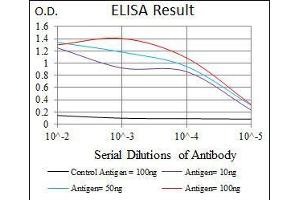 Black line: Control Antigen (100 ng), Purple line: Antigen(10 ng), Blue line: Antigen (50 ng), Red line: Antigen (100 ng), (CD6 antibody  (AA 472-668))