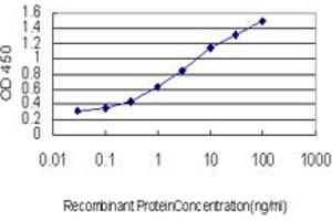 Detection limit for recombinant GST tagged PTK9 is approximately 0. (TWF1 antibody  (AA 80-252))