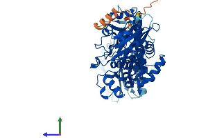 Protein Structure (PS) image for Chromosome 4 Open Reading Frame 20 (C4orf20) (AA 1-469) protein (His tag) (ABIN7544968)