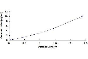 Typical standard curve (Claudin 5 ELISA Kit)