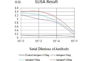 Black line: Control Antigen (100 ng),Purple line: Antigen (10 ng), Blue line: Antigen (50 ng), Red line:Antigen (100 ng) (FADD antibody  (AA 20-150))