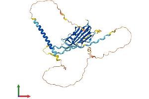 AlphaFold protein structure predicition of Human Recombinant EDA Protein, UniprotID Q92838