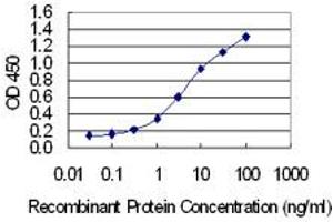 Detection limit for recombinant GST tagged UGT2B7 is 0. (UGT2B7 antibody  (AA 69-157))