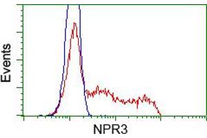 Flow Cytometry (FACS) image for anti-Atrial Natriuretic Peptide Receptor 3 (NPR3) antibody (ABIN1499807) (NPR3 antibody)