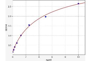 ENPEP ELISA Kit