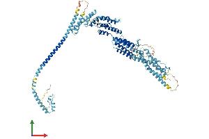 AlphaFold protein structure predicition of Human Recombinant COG2 Protein, UniprotID Q14746 (COG2 Protein (AA 1-738) (His tag))