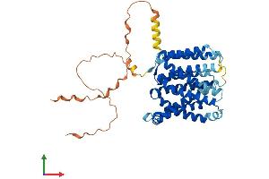 AlphaFold protein structure predicition of Human Recombinant SLC35F1 Protein, UniprotID Q5T1Q4