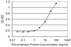 Detection limit for recombinant GST tagged BMP5 is 0. (BMP5 antibody  (AA 341-440))
