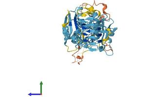 AlphaFold protein structure predicition of Human Recombinant EIF2B3 Protein, UniprotID Q9NR50