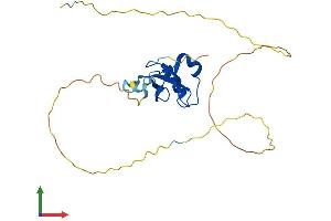 AlphaFold protein structure predicition of Mouse Recombinant Hdgf Protein, UniprotID P51859