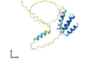 AlphaFold protein structure predicition of Human Recombinant CT45A1 Protein, UniprotID Q5HYN5 (CT45A1 Protein (AA 1-189) (His tag))