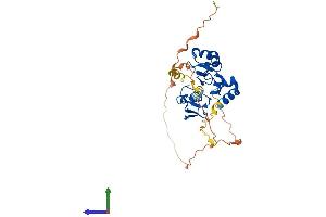 Protein Structure (PS) image for Baculoviral IAP Repeat-Containing 7 (BIRC7) (AA 1-298) protein (His tag) (ABIN7552701)
