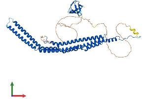 Protein Structure (PS) image for Protein Kinase C and Casein Kinase Substrate in Neurons 2 (PACSIN2) (AA 1-486) protein (His tag) (ABIN7554835)