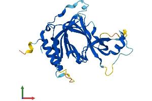 Protein Structure (PS) image for 2-Aminoethanethiol (Cysteamine) Dioxygenase (ADO) (AA 1-256) protein (His tag) (ABIN7558054)