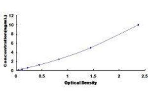 KISS1 Receptor (KISS1R) ELISA Kit