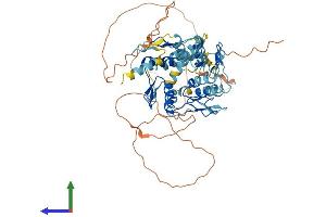 AlphaFold protein structure predicition of Human Recombinant ZNF10 Protein, UniprotID P21506 (ZNF10 Protein (AA 1-573) (His tag))