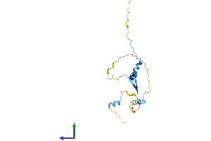 AlphaFold protein structure predicition of Mouse Recombinant Nol12 Protein, UniprotID Q8BG17
