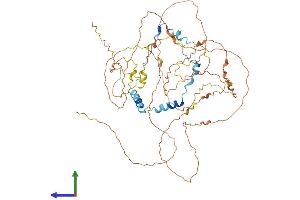 Protein Structure (PS) image for Protein Aurora Borealis (BORA) (AA 1-559) protein (His tag) (ABIN7552842)
