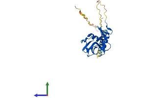 AlphaFold protein structure predicition of Mouse Recombinant Klrb1f Protein, UniprotID Q8VD98