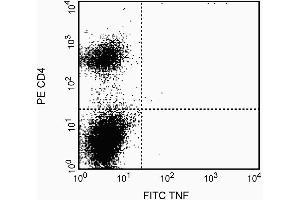 The binding of the FITC-MP6-XT22 antibody was blocked by preincubation of the antibody conjugate with recombinant mouse TNF (0. (TNF alpha antibody)